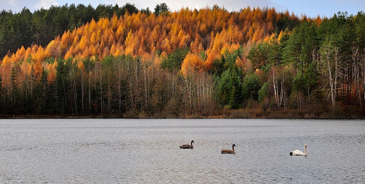 unsplash.com Licencja: https://unsplash.com/license