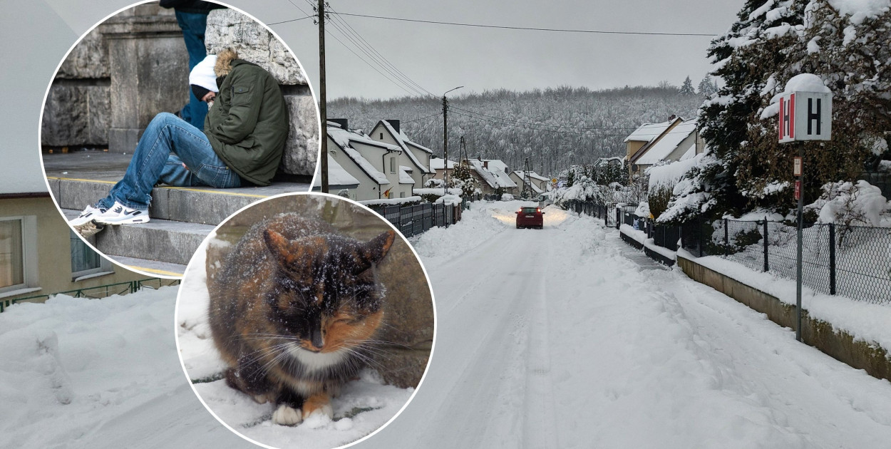 fot. archiwum/M.Dz., fot. pixabay