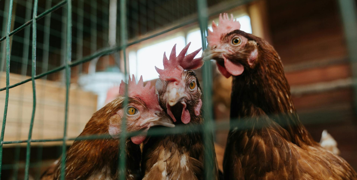 Zdj. ilustracyjne. fot. pexels