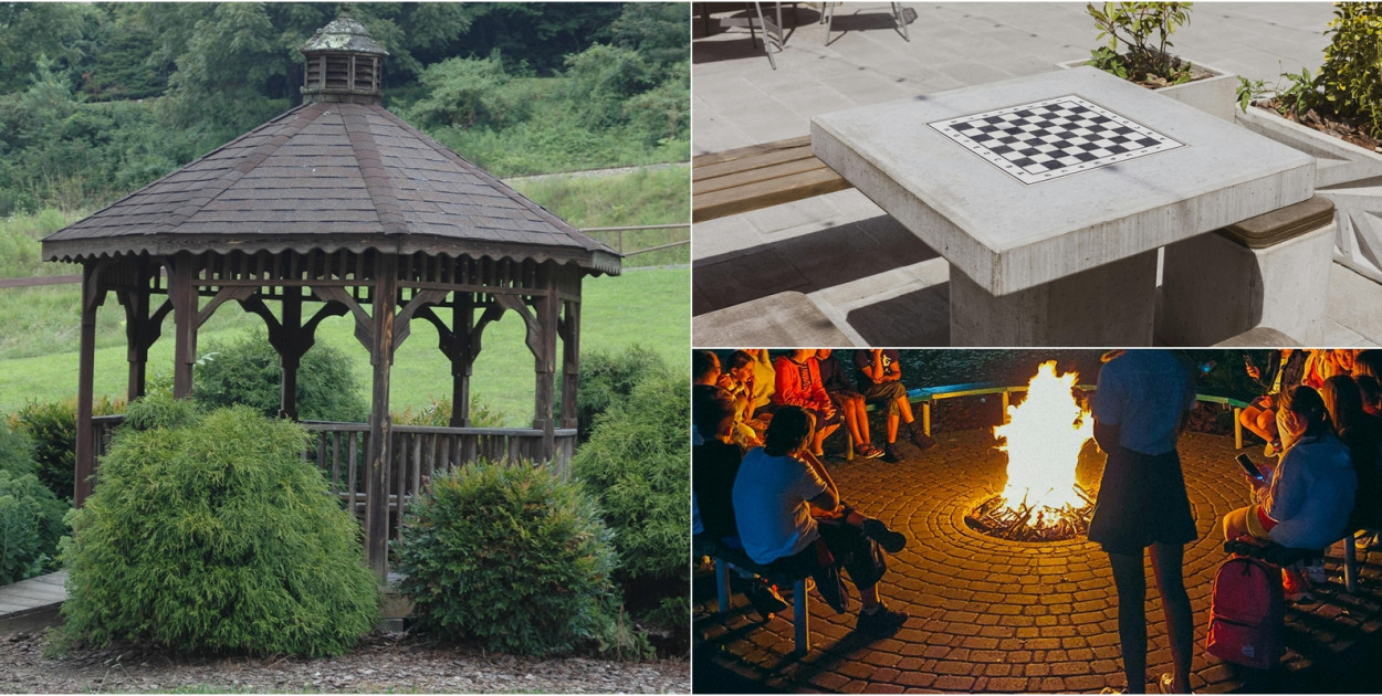 fot. pixabay, fot. pexels