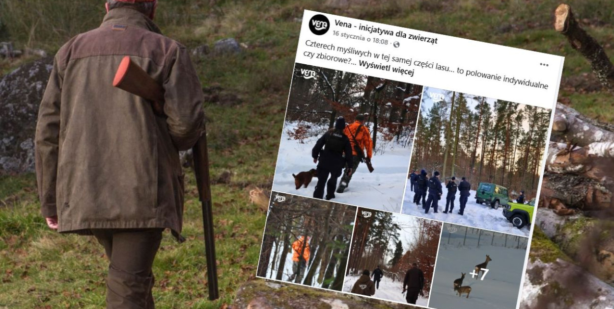 fot.kolaż.oprac.W.D./screen:FB/Vena-inicjatywa dla zwierząt