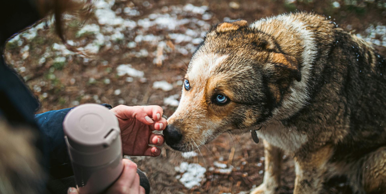 Zdj. ilustracyjne. fot. pexels