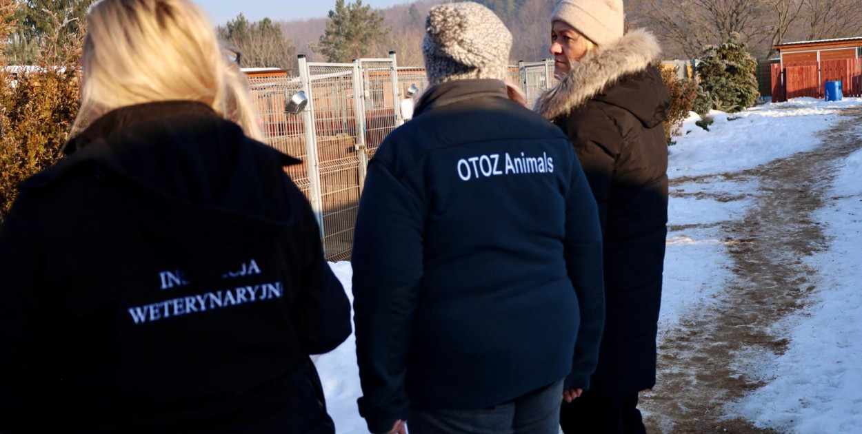 W województwie pomorskim ruszyły kontrole schronisk dla zwierząt