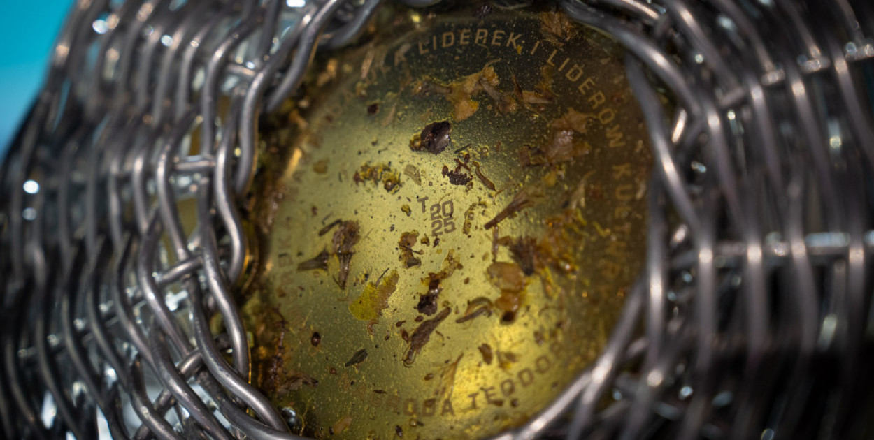 Ruszył nabór do Nagrody Teodory – 20 tys. zł dla liderów pomorskiej kultury