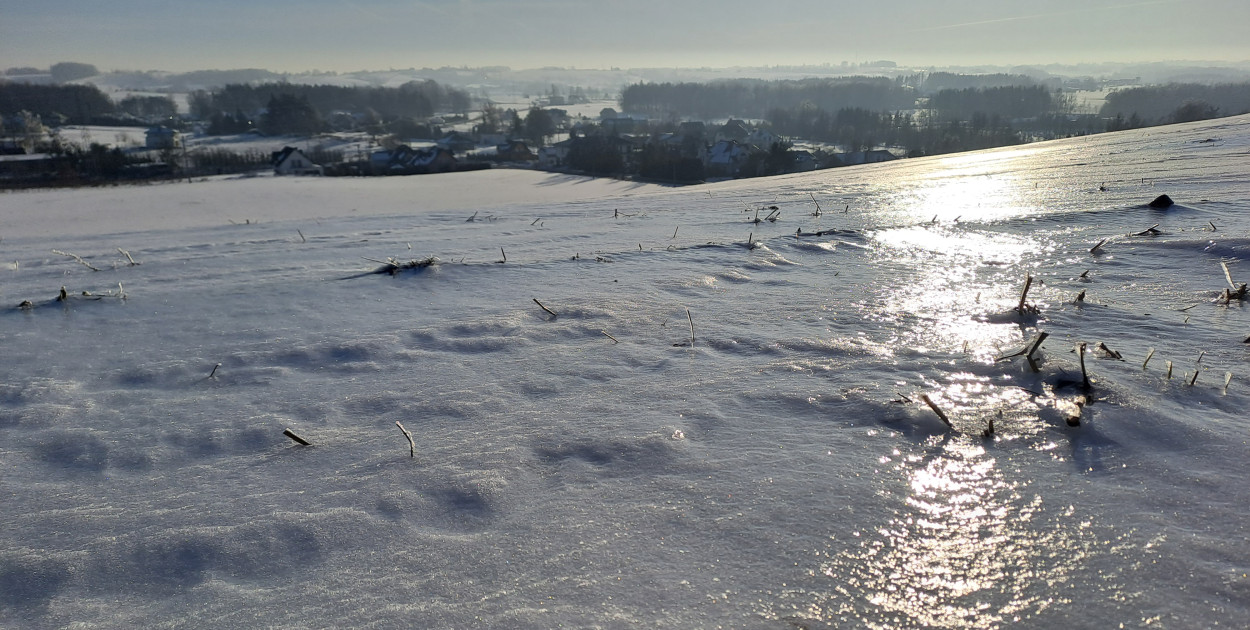 Czeka nas mróz: nawet minus 25 stopni. Ale są i dobre wieści