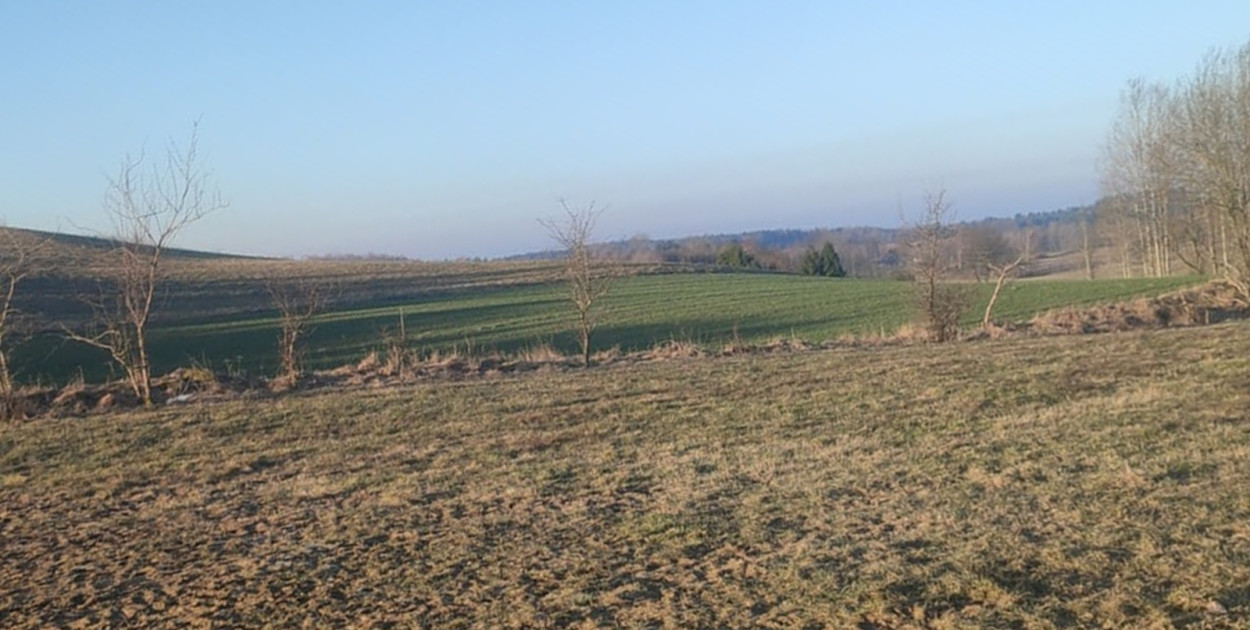 Będą ułatwienia dla obrotu nieruchomościami rolnymi na rynku prywatnym?