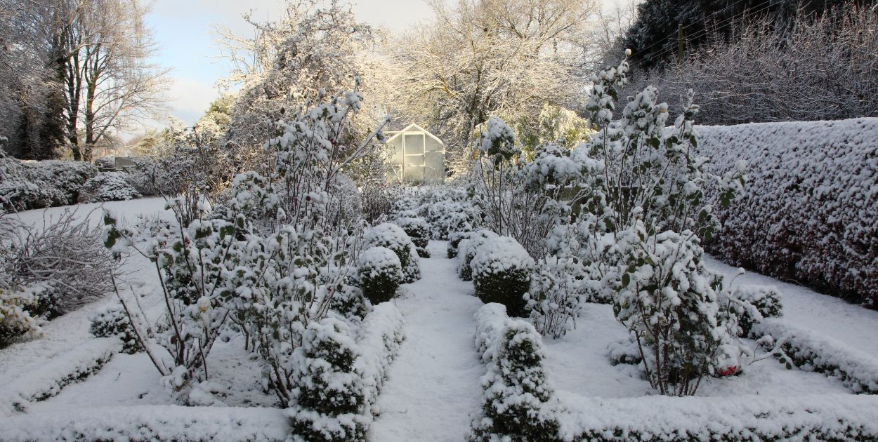 Luty w ogrodzie. 5 rzeczy, które możesz zrobić już w ten weekend