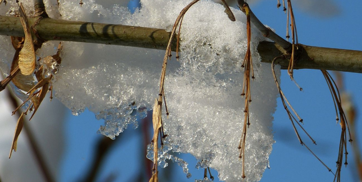 Prognozy wskazują, że czeka nas typowo wiosenna aura
