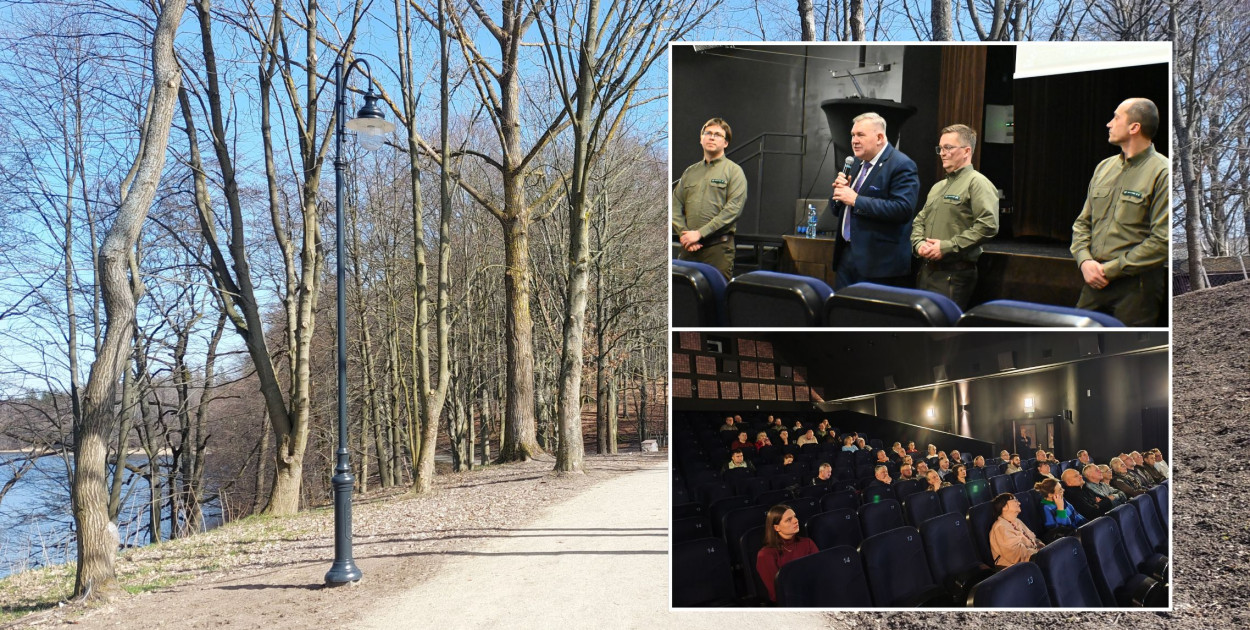 Bez intensywnej wycinki wokół Kartuz? Spotkanie ws. Planu Urządzania Lasu