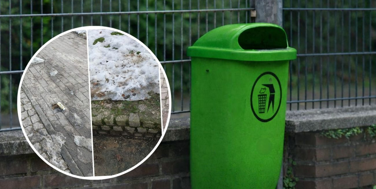 Kartuzy. Brakuje koszy na śmieci. "Gdzie mamy wyrzucić psie kupy?"