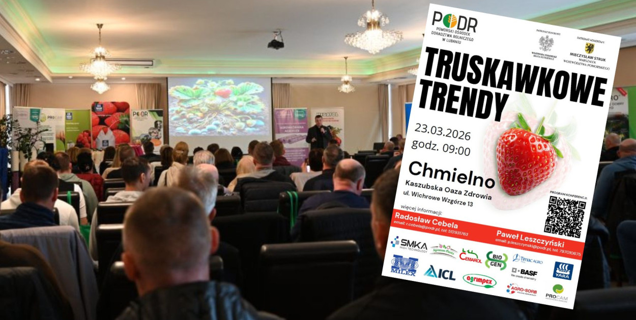 Truskawkowa wiedza w jednym miejscu. Konferencja dla plantatorów w Chmielnie