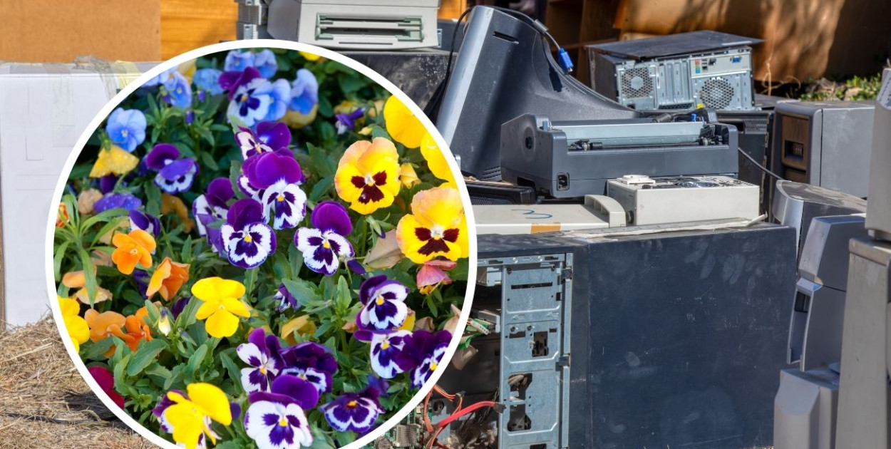 Kartuzy. Przywieź elektroodpady, a dostaniesz kwiaty