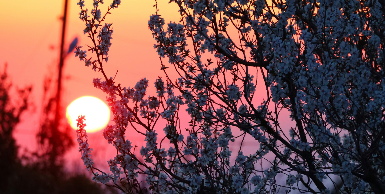 20 marca witamy astronomiczną wiosnę. Niezwykłe zjawiska czekają na niebie!