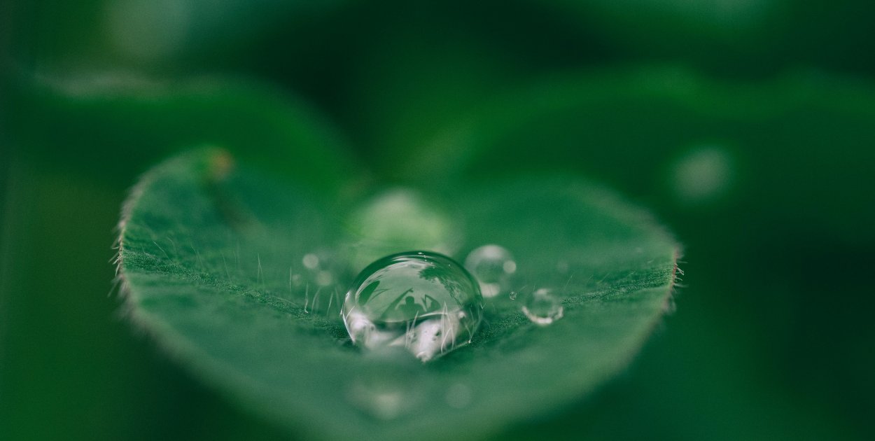 Kosmetyki naturalne – świadoma pielęgnacja w zgodzie z naturą