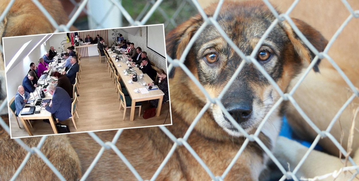 Pomimo skarg Somonino zostaje przy kontrowersyjnym schronisku