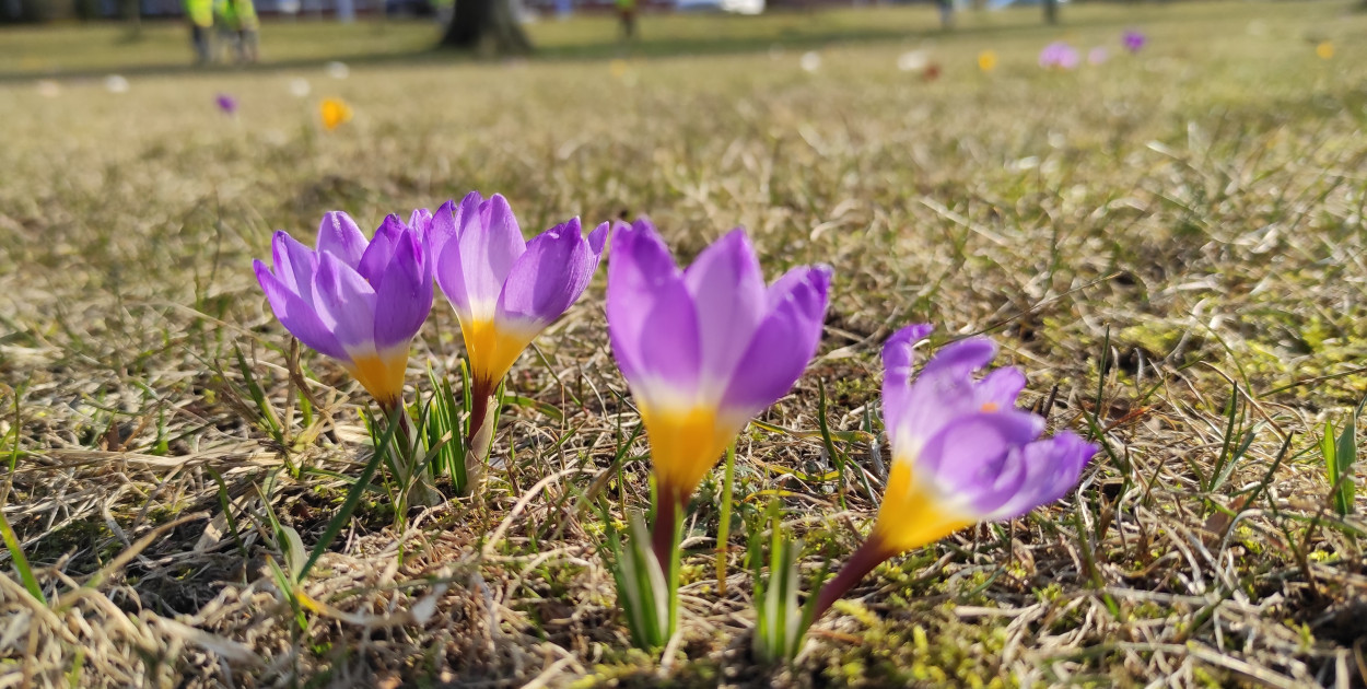 Zapowiada się słoneczna pogoda na święta