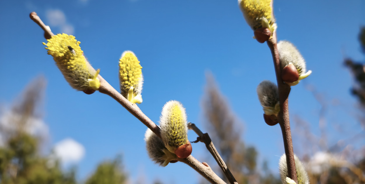 Kwiecień - plecień... czyli prognoza pogody na Wielkanocny weekend