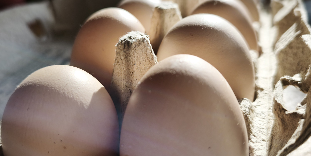 Bez nich trudno sobie wyobrazić Wielkanoc. Dlaczego jajka są tak wartościowym skła
