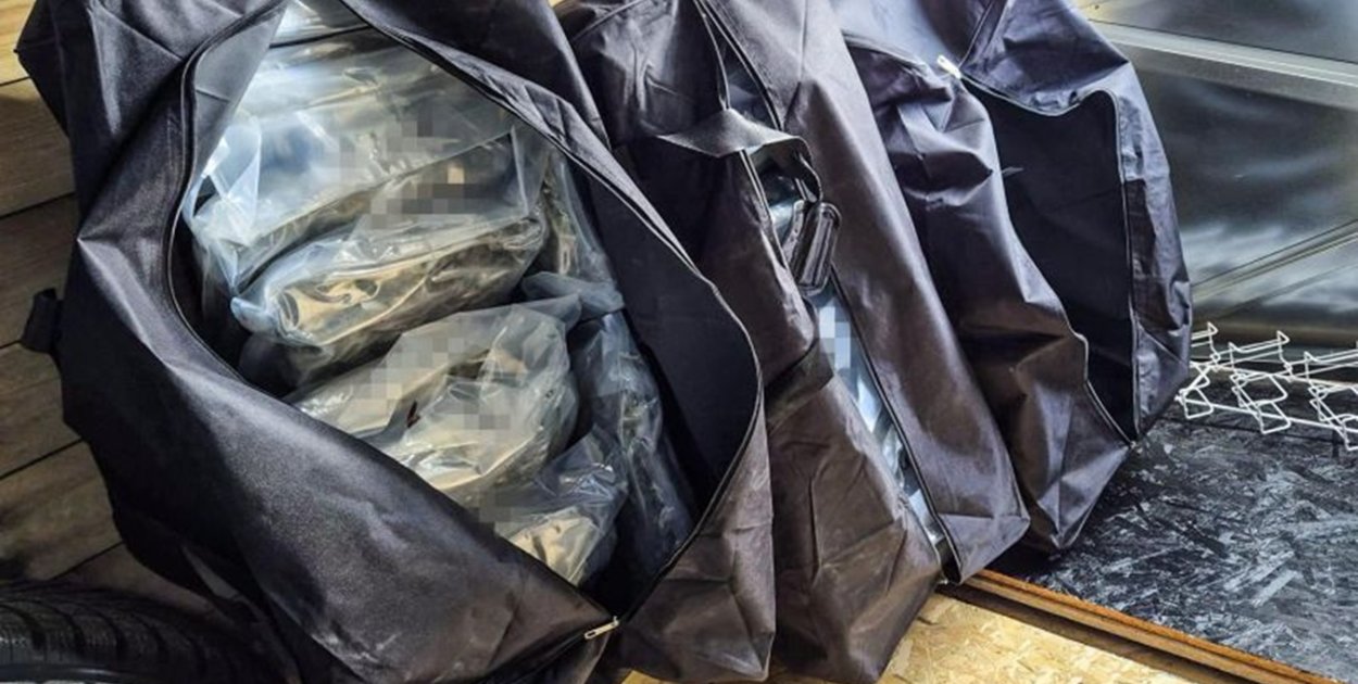 Duża akcja policji w Chojnicach. Zabezpieczono substancje warte 2 mln zł