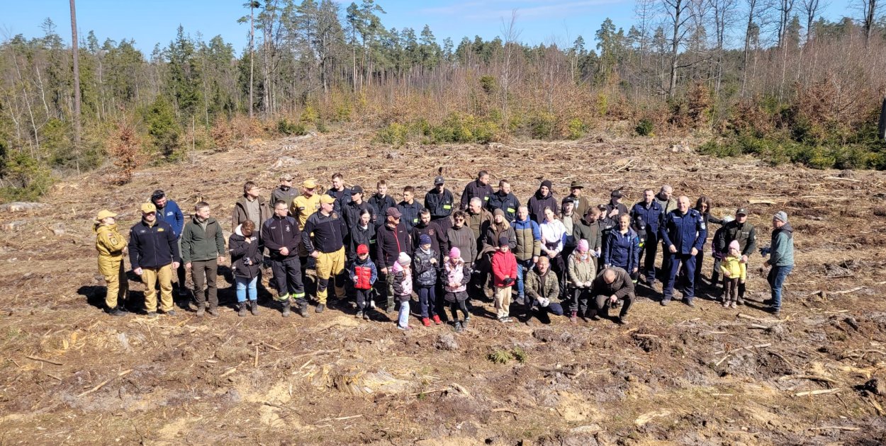 Leśnicy wspólnie z mieszkańcami posadzili las niedaleko Bąckiej Huty