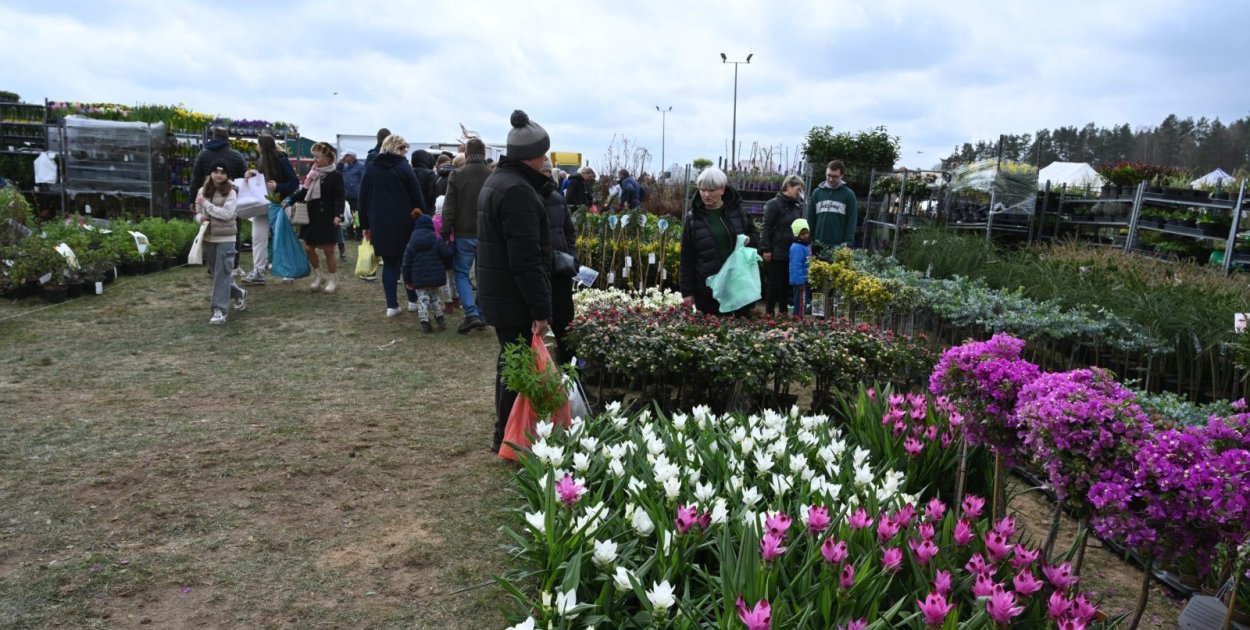 W Lubaniu odbędą się targi dla miłośników ogrodnictwa i pszczelarstwa