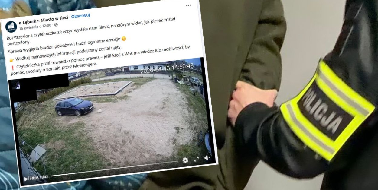 Z wiatrówki zastrzelił psa sąsiadki! Sprawca nie uniknie kary