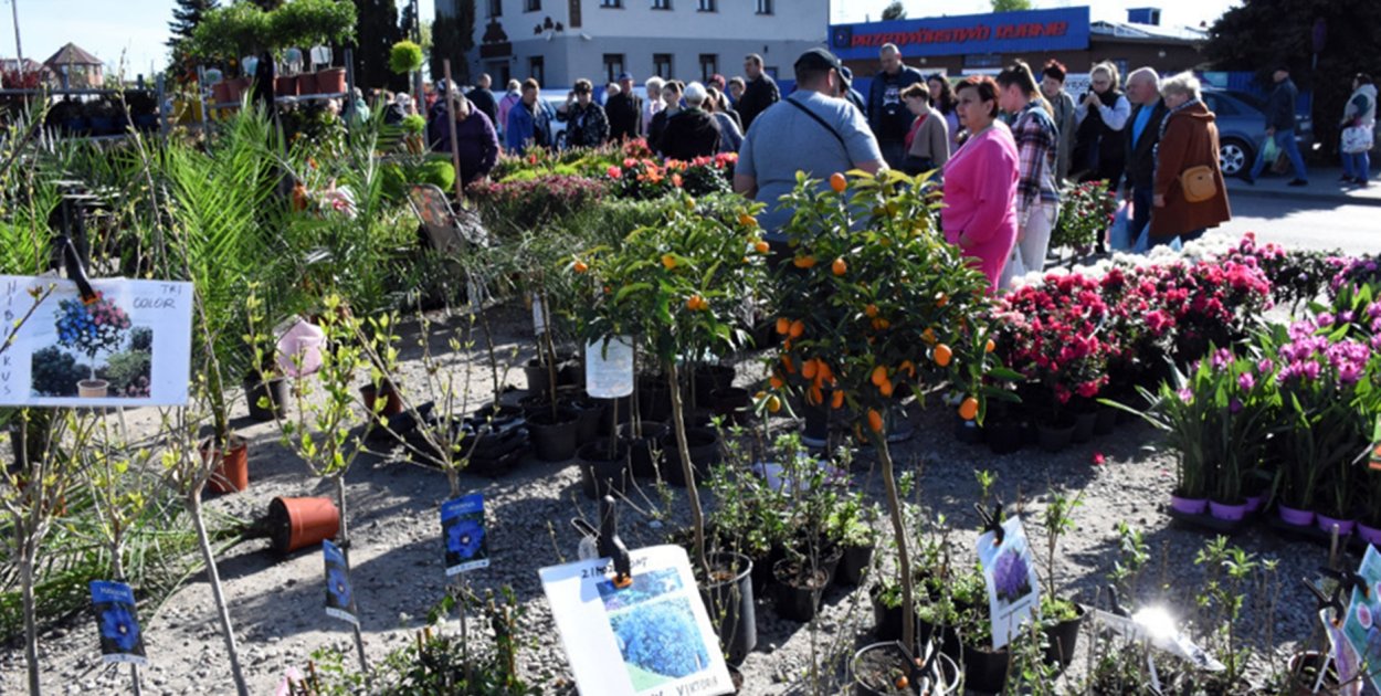 Sierakowice. Gratka dla miłośników ogrodnictwa - Święto Kwiatów i Krzewów