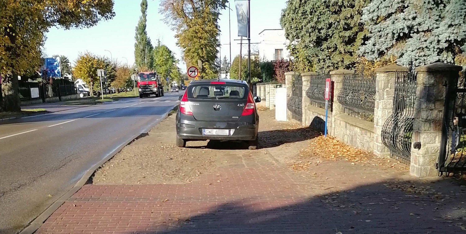 fot. nadesłane