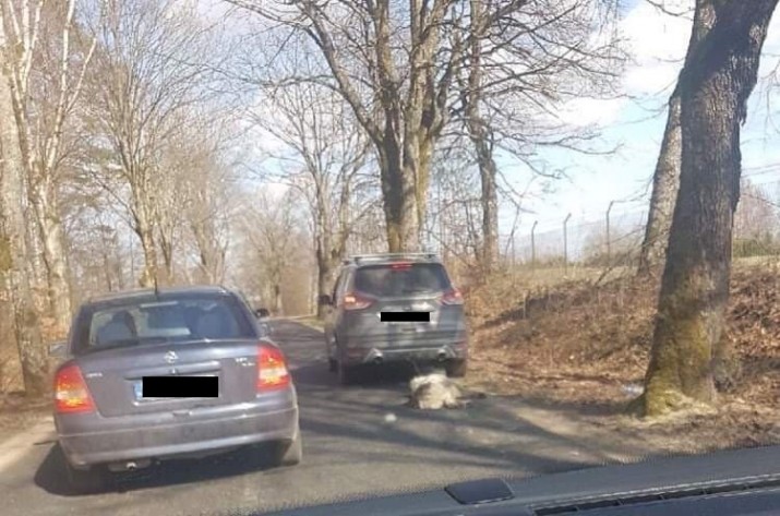 fot.za zgodą/radiogdansk.pl