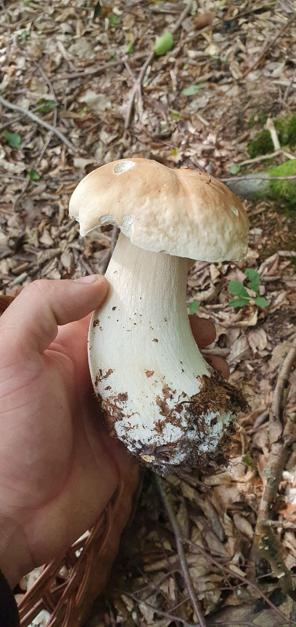 fot.nadesłane