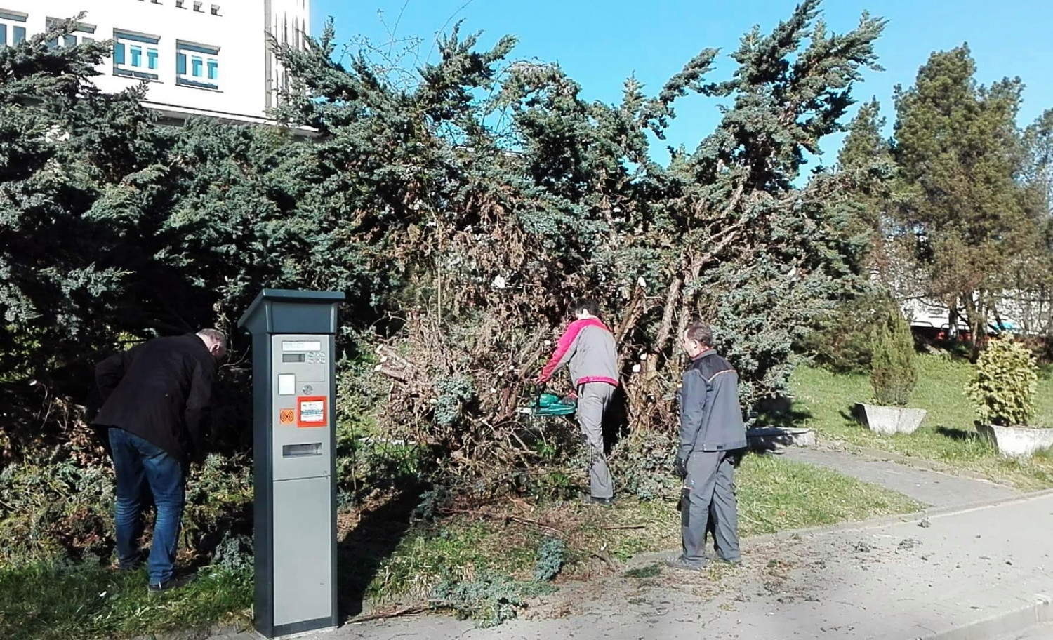 Wycięto już jałowiec, który zasłaniał pomnik. fot. nadesłane