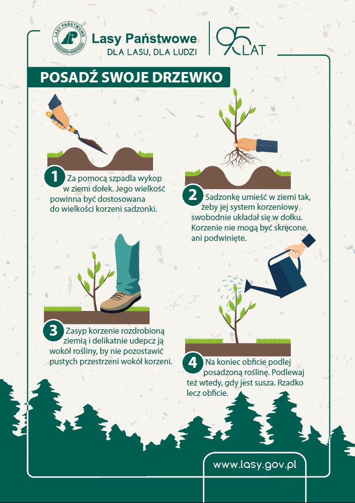 fot. nadesłane