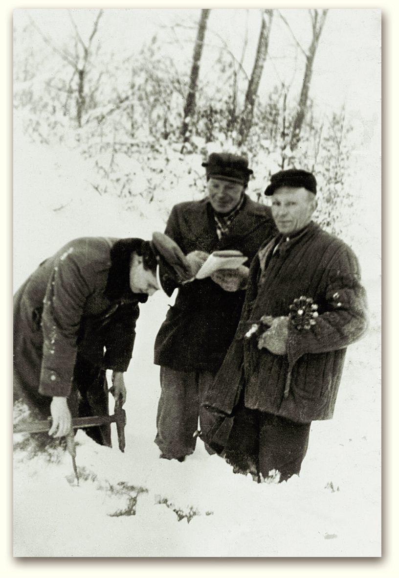 Odbiór drewna w latach 60. XX wieku w Leśnictwie Glinne. fot. archiwum Nadleśnictwa Kartuzy