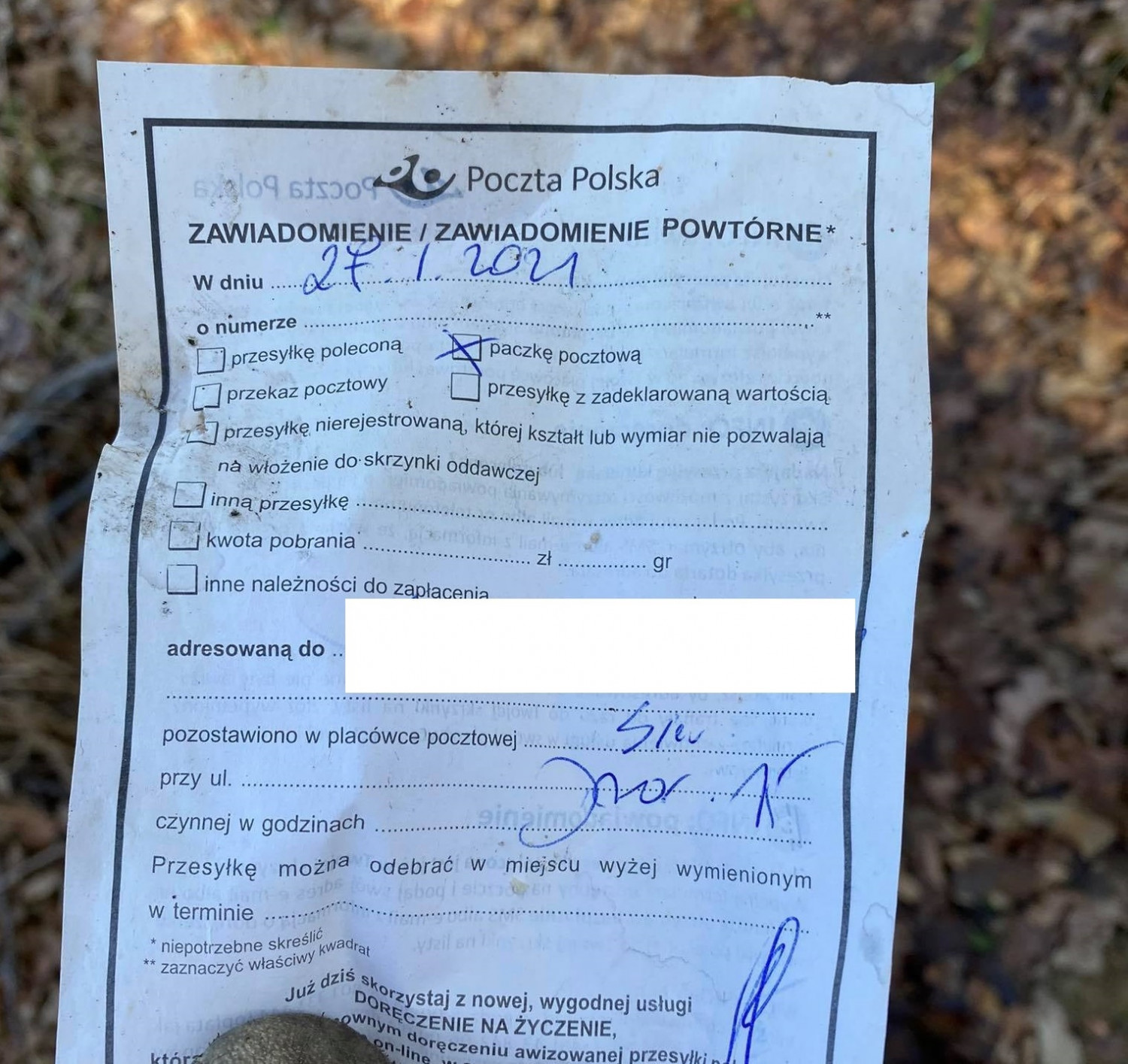 fot.UM Kartuzy