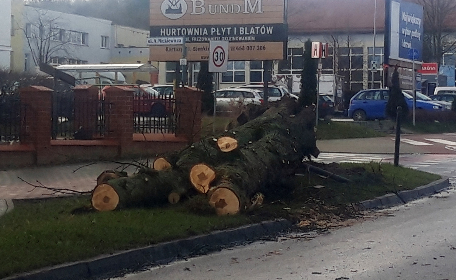 Powalone drzewo na ul. Wzgórze Wolności w Kartuzach. fot. M.Dz.