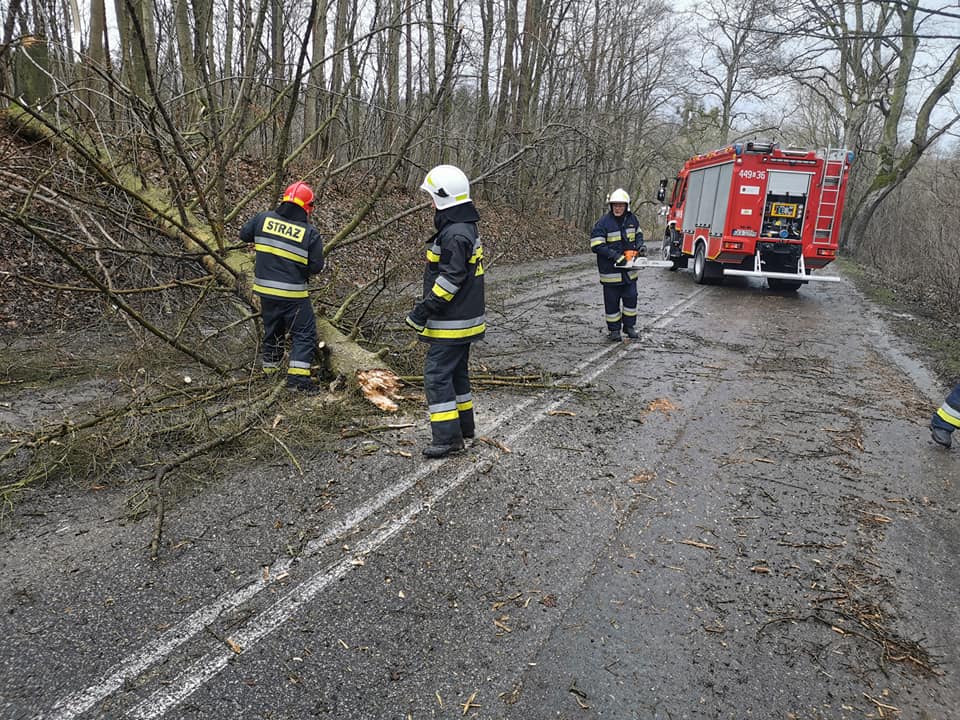 Powalone drzewo na alei Lipowej w Leźnie. fot. Facebook/OSP Leźno