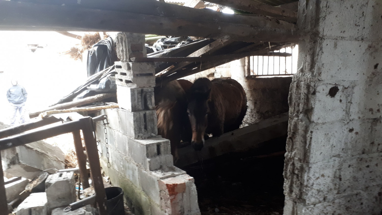 fot. Facebook/KRSG OSP Szymbark